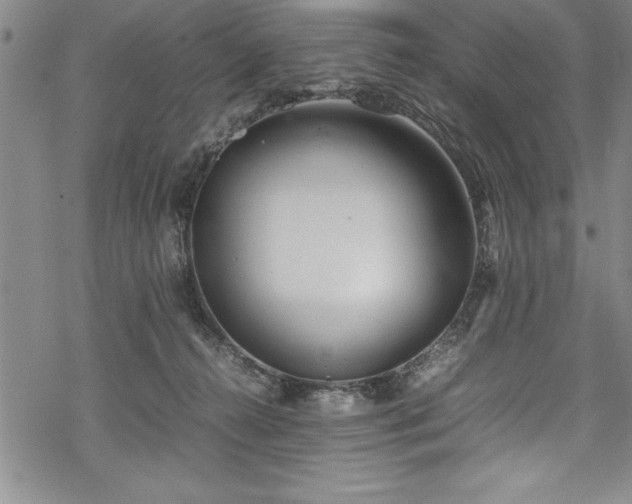 X0000069390272200605150951