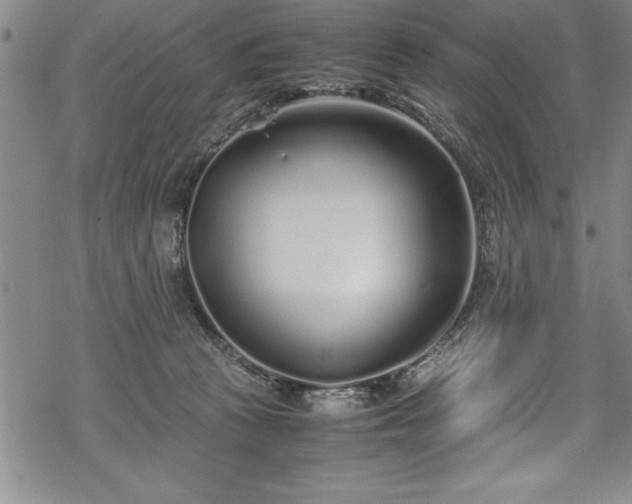 X0000069390273200605150951