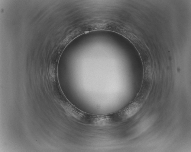 X0000069390274200605150951