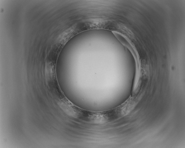 X0000069390276200605150951