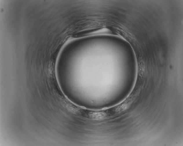 X0000069390277200605150951