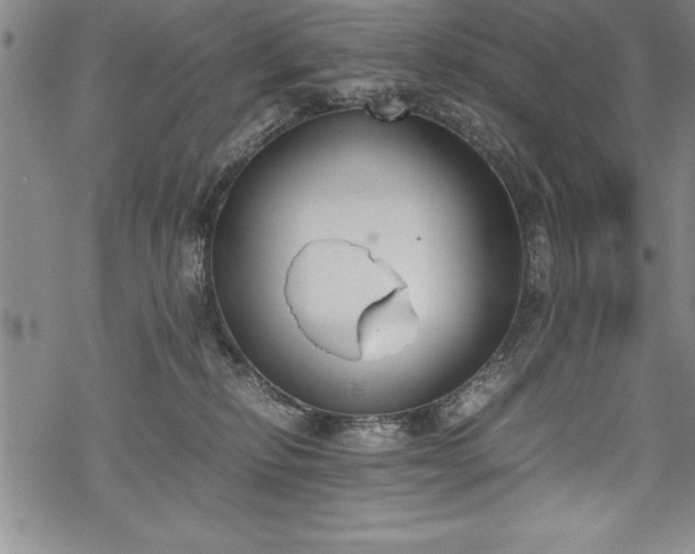 X0000069390278200605150951