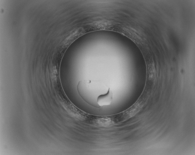 X0000069390279200605150951