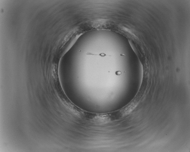 X0000069390280200605150951