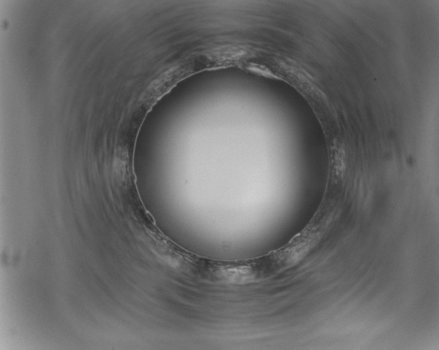 X0000069390283200605150951