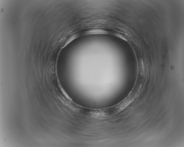 X0000069390284200605150951