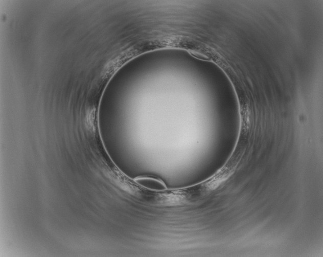 X0000069390286200605150951