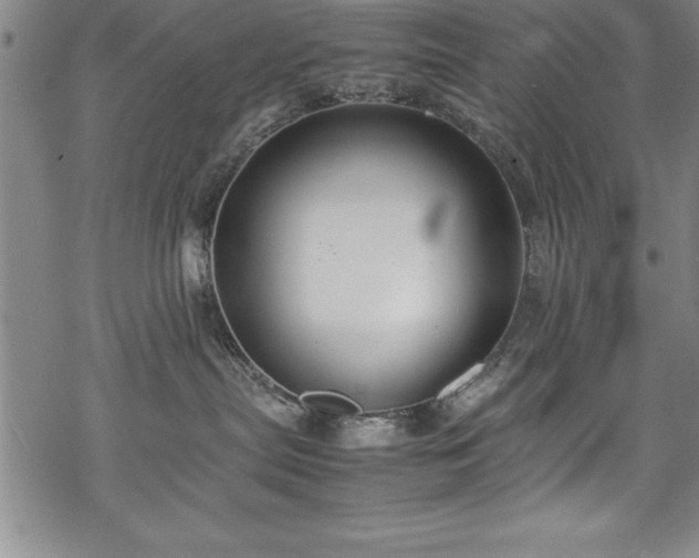 X0000069390287200605150951