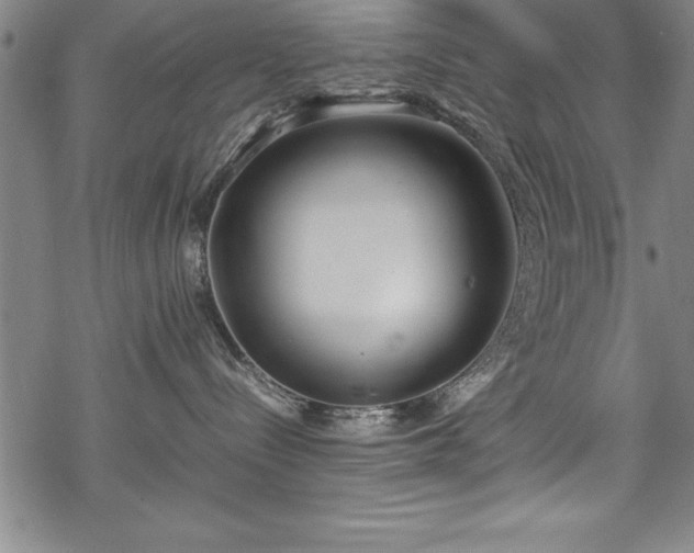 X0000069390288200605150951