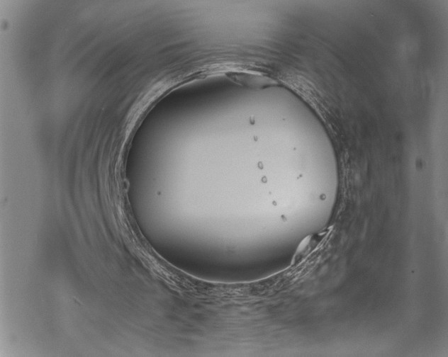 X0000069390289200605150950