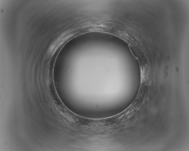 X0000069390291200605150950