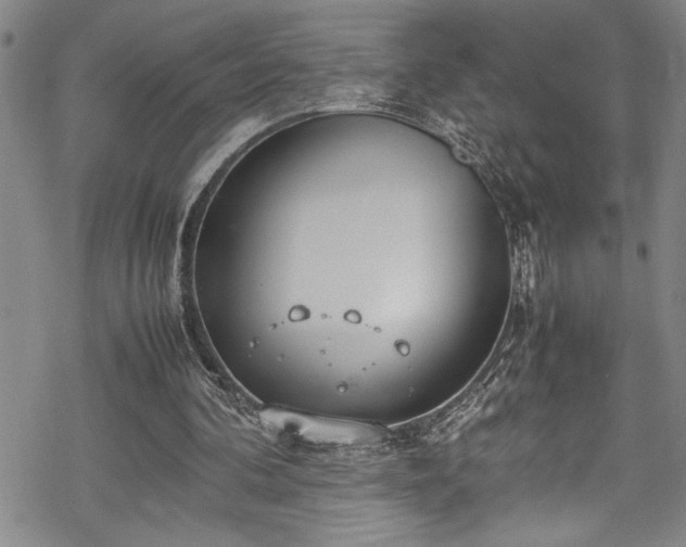 X0000069390292200605150950