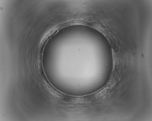 X0000069390293200605150950