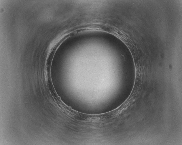 X0000069390294200605150950