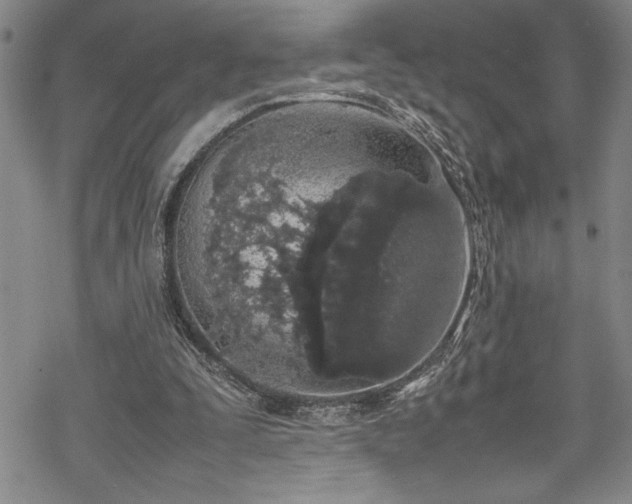 X0000069390295200605150950