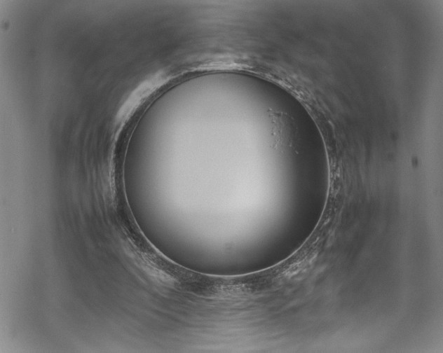 X0000069390296200605150950