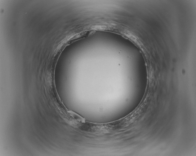 X0000069390297200605150950