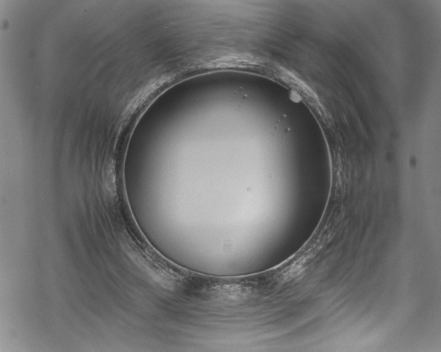 X0000069390298200605150950