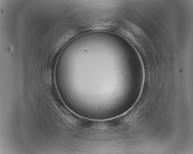 X0000069390299200605150950