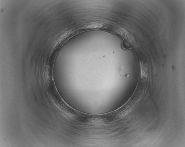 X0000069390300200605150950