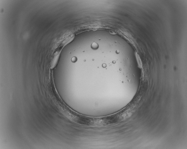 X0000069390301200605150950