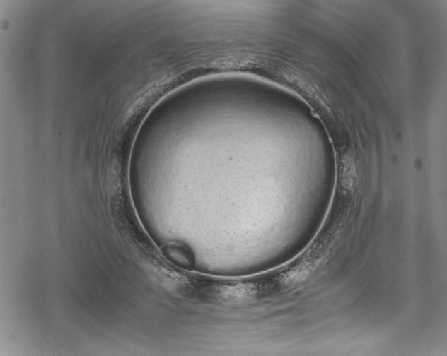 X0000069390303200605150950