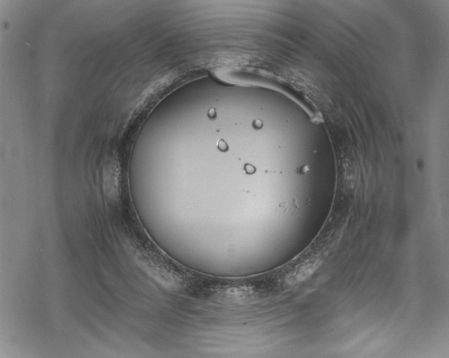 X0000069390304200605150950