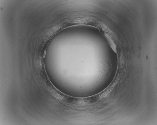 X0000069390305200605150950