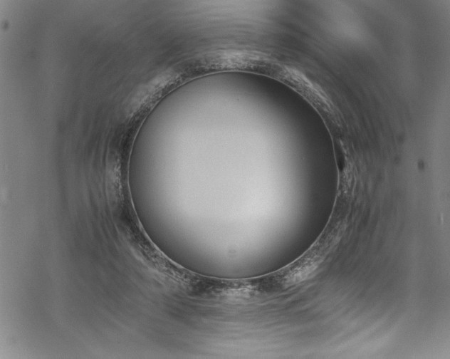 X0000069390306200605150950