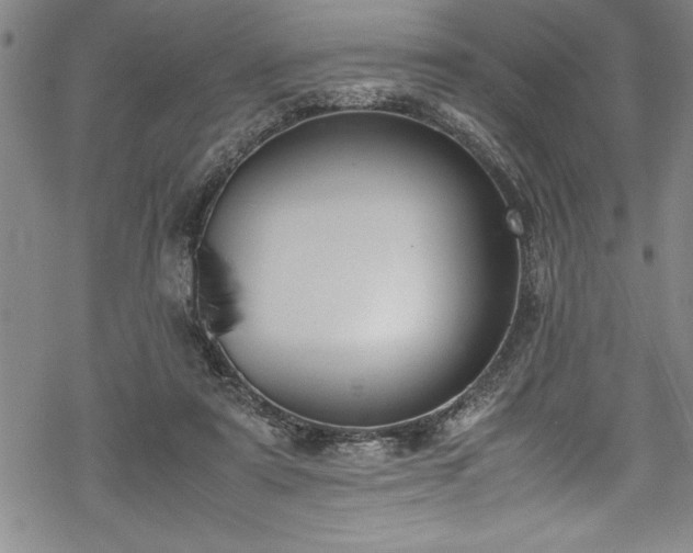 X0000069390307200605150950