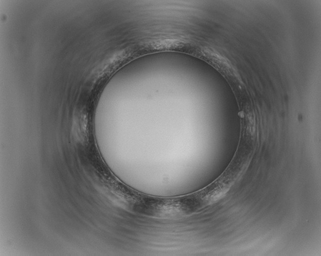 X0000069390308200605150950