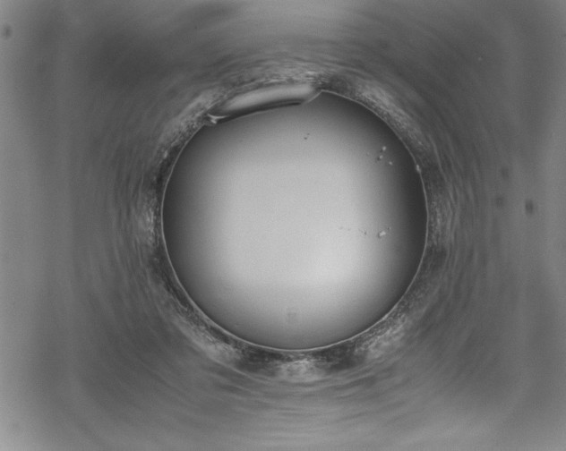 X0000069390309200605150950