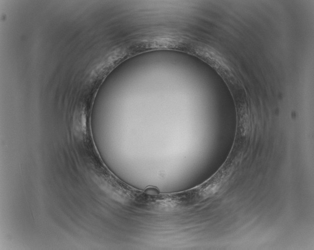 X0000069390310200605150950