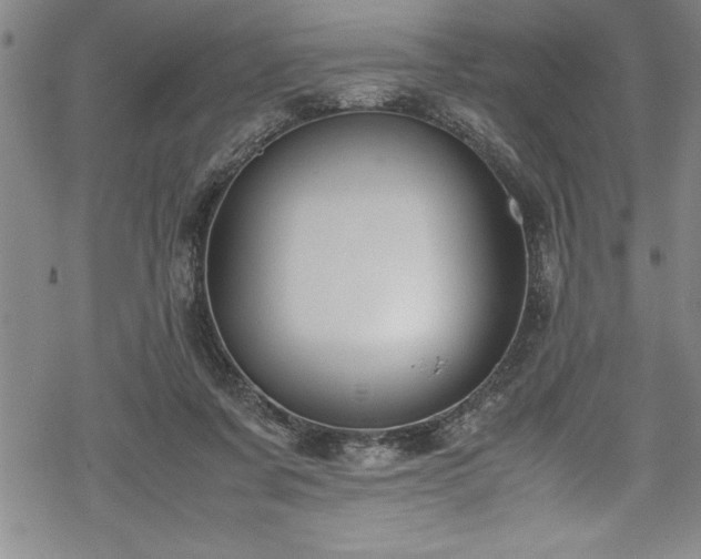 X0000069390311200605150950