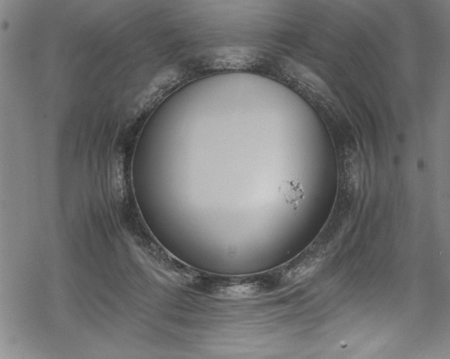 X0000069390312200605150950