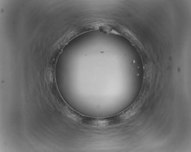 X0000069390313200605150950