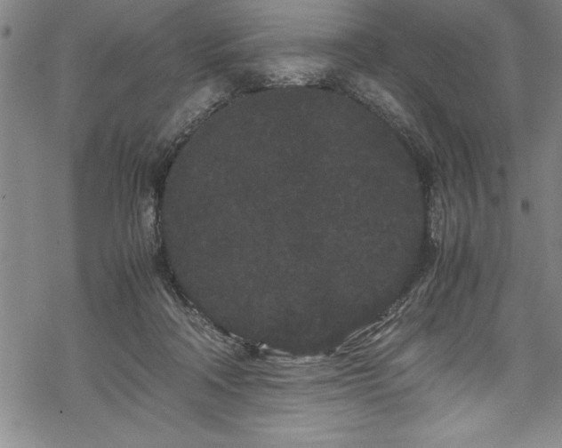 X0000069390314200605150950