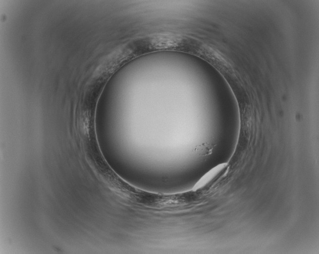 X0000069390315200605150950