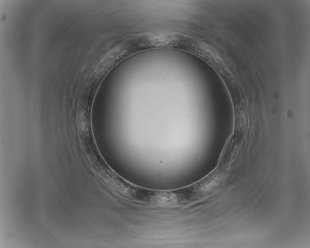 X0000069390317200605150950