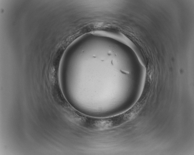 X0000069390319200605150950