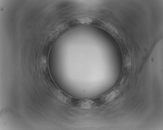 X0000069390321200605150950