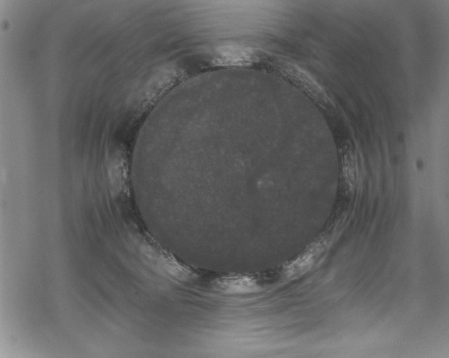 X0000069390322200605150950