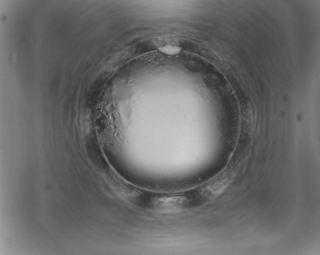 X0000069390323200605150950