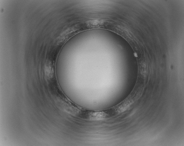 X0000069390324200605150950