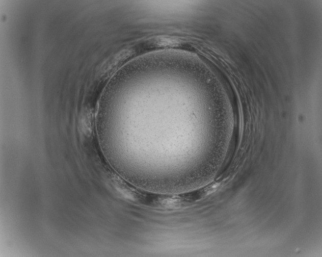 X0000069390325200605150950