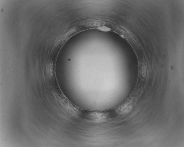 X0000069390326200605150950