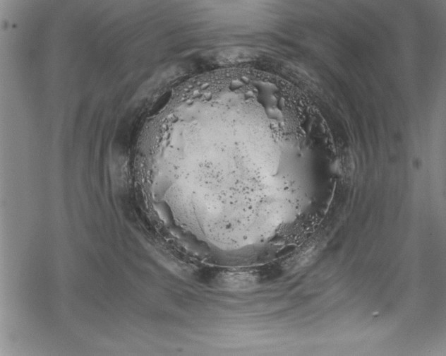 X0000069390327200605150950