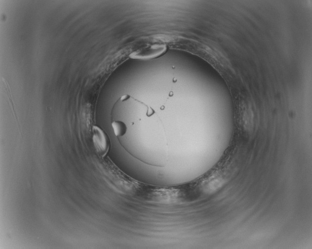 X0000069390328200605150950