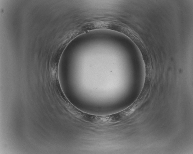 X0000069390329200605150950