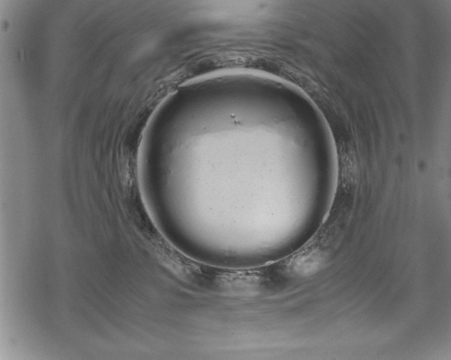 X0000069390331200605150949